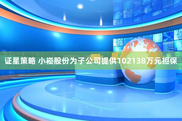 证星策略 小崧股份为子公司提供102138万元担保
