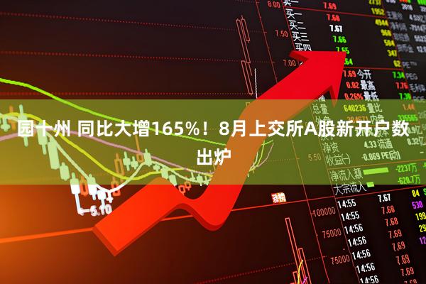 园十州 同比大增165%！8月上交所A股新开户数出炉